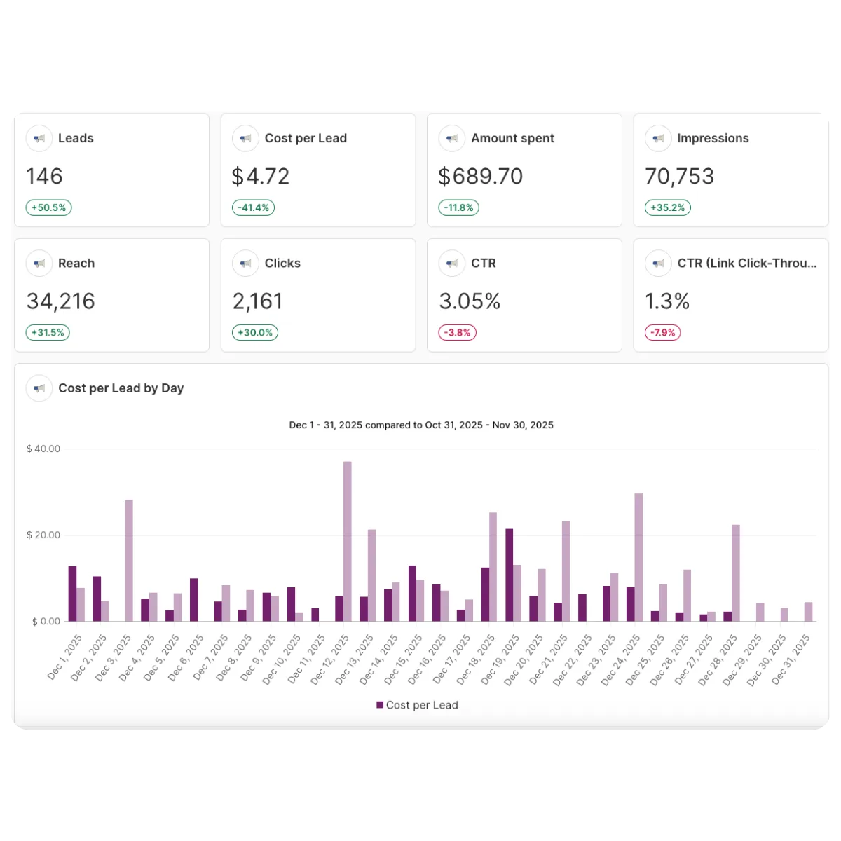 Exhibit: monthly account report. 146 leads, $4.72 cost per lead, $689.70 spend.